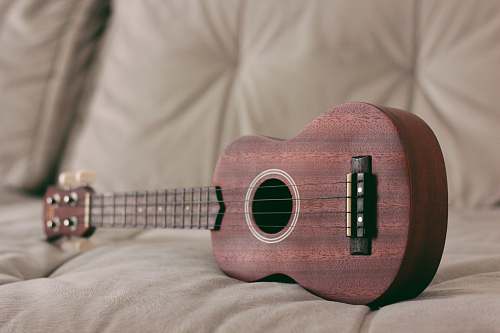 musical instrument brown ukulele on couch leisure activities